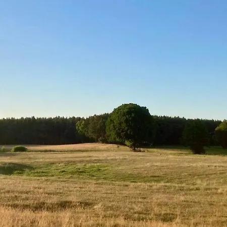 Gutshaus Penzlin *