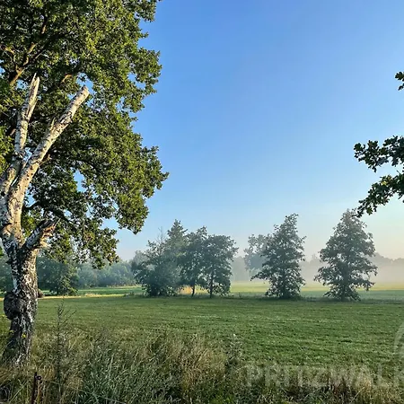 Semesterbostad Gutshaus Penzlin Meyenburg (Prignitz)